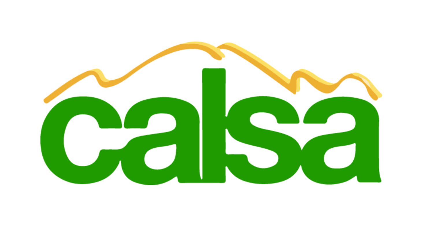 California Association of Latino Superintendents and Administrators (CALSA)