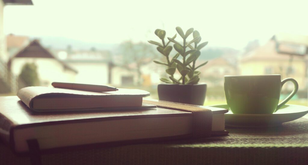 Books, coffee, plant, serene view.